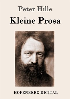 Kleine Prosa (eBook, ePUB) - Hille, Peter