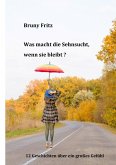 Was macht die Sehnsucht, wenn sie bleibt? (eBook, ePUB) Was macht die Sehnsucht, wenn sie bleibt? (eBook, ePUB)