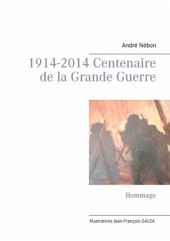 1914-2014 Centenaire de la Grande Guerre (eBook, ePUB)