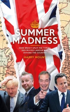 Summer Madness (eBook, ePUB) - Mount, Harry