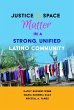 Justice and Space Matter in a Strong,... - Bild 1