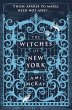 The Witches of New York (eBook, ePUB) - Bild 1
