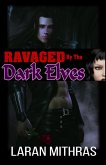 Ravaged by the Dark Elves (eBook, ePUB)