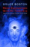 Brief Encounters with my Third Eye: Selected Poems (eBook, ePUB)
