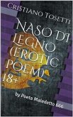 Naso di legno (eBook, ePUB)