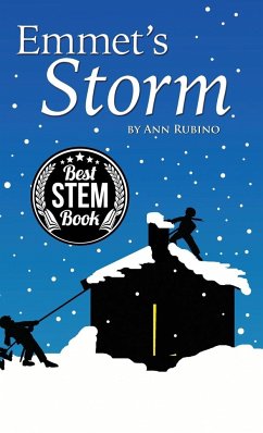 Emmet's Storm - Rubino, Ann