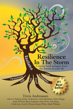 Resilience In The Storm - Andreassen, Tricia