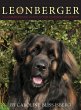 The Leonberger - Bild 1