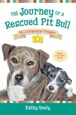 The Journey of a Rescued Pit Bull