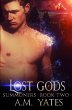 Lost Gods - Bild 1