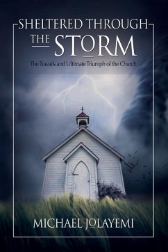 Sheltered Through the Storm - Jolayemi, Michael