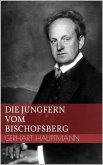 Die Jungfern vom Bischofsberg (eBook, ePUB)