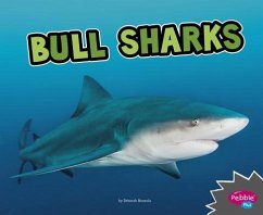 Bull Sharks - Nuzzolo, Deborah