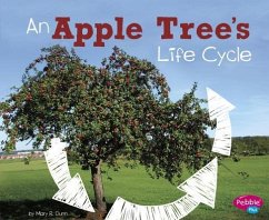 An Apple Tree's Life Cycle - Dunn, Mary R