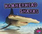 Hammerhead Sharks