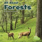 All about Forests