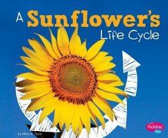 A Sunflower's Life Cycle - Dunn, Mary R