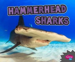 Hammerhead Sharks - Nuzzolo, Deborah