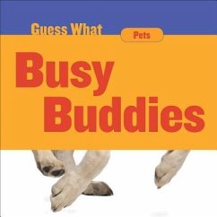 Busy Buddies - Macheske, Felicia