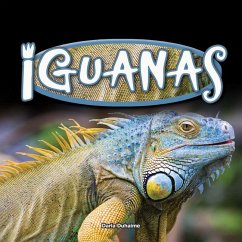 Iguanas - Duhaime