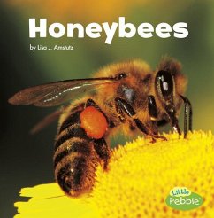 Honeybees - Amstutz, Lisa J.