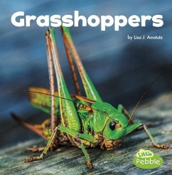 Grasshoppers - Amstutz, Lisa J.