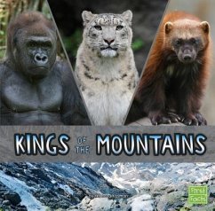 Kings of the Mountains - Rissman, Rebecca