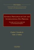 General Principles of Law and International Due Process (eBook, ePUB) General Principles of Law and International Due Process (eBook, ePUB)