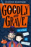 Goodly and Grave in A Bad Case of Kidnap (eBook, ePUB)