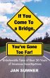 If You Come to a Bridge - You've Gone... - Bild 1