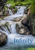 Infinity (eBook, ePUB)