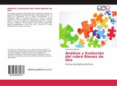 Análisis y Evolución del rubro Bienes de Uso