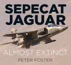 Sepecat Jaguar: Almost Extinct