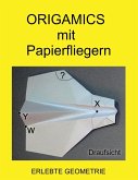 Origamics mit Papierfliegern (eBook, PDF)