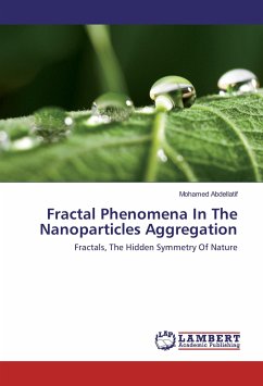 Fractal Phenomena In The Nanoparticles Aggregation - Abdellatif, Mohamed