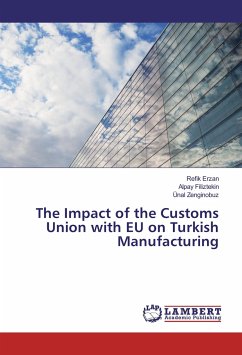 The Impact of the Customs Union with EU on Turkish Manufacturing
