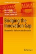 Bridging the Innovation Gap - Bild 1