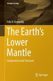 The Earth's Lower Mantle