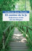 El camino de la fe. Reflexiones al hilo del año litúrgico (eBook, ePUB)