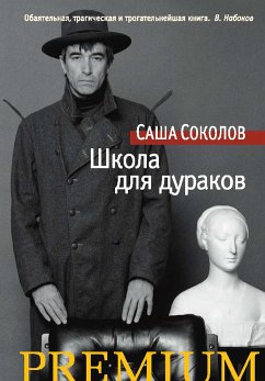 Школа для дураков (eBook, ePUB) - Соколов, Саша