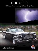Brute: Things Aren't Always What They Seem (eBook, ePUB)