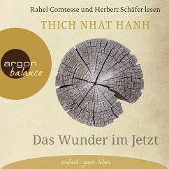 Das Wunder im Jetzt (MP3-Download) - Hanh, Thich Nhat