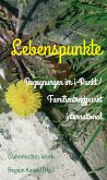 Lebenspunkte (eBook, ePUB)