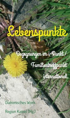 Lebenspunkte (eBook, ePUB) - Region Kassel (Hg., Diakonisches Werk