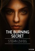 The Burning Secret (eBook, ePUB)