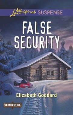 Cover False Security (eBook, ePUB)