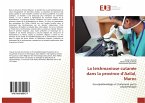 La leishmaniose cutanée dans la province d'Azilal, Maroc