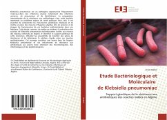 Etude Bactériologique et Moléculaire de Klebsiella pneumoniae - Belbel, Zineb