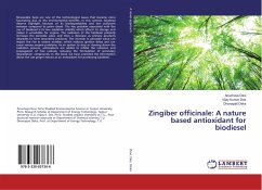 Zingiber officinale: A nature based antioxidant for biodiesel