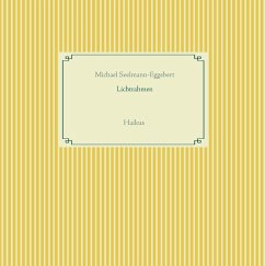 Lichtrahmen (eBook, ePUB) - Seelmann-Eggebert, Michael